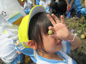 6月のできごと 奈良カトリック幼稚園